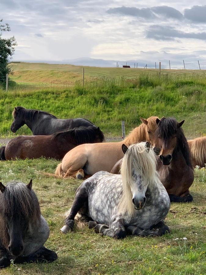Vila Armuli Reynistadur Exteriér fotografie