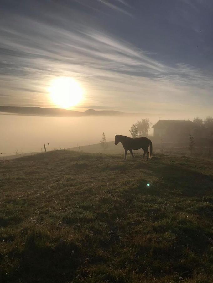 Vila Armuli Reynistadur Exteriér fotografie